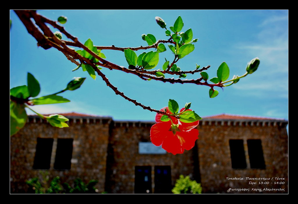 14HarrisAdamopoulos-01-copy-resize.jpg